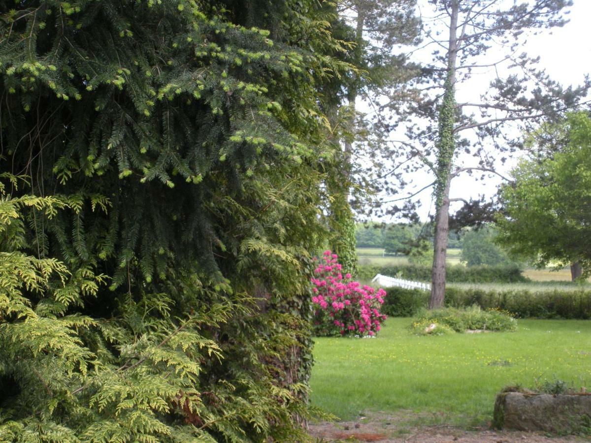 Bed and Breakfast Le Domaine Du Mijarnier Montbeugny Exterior foto